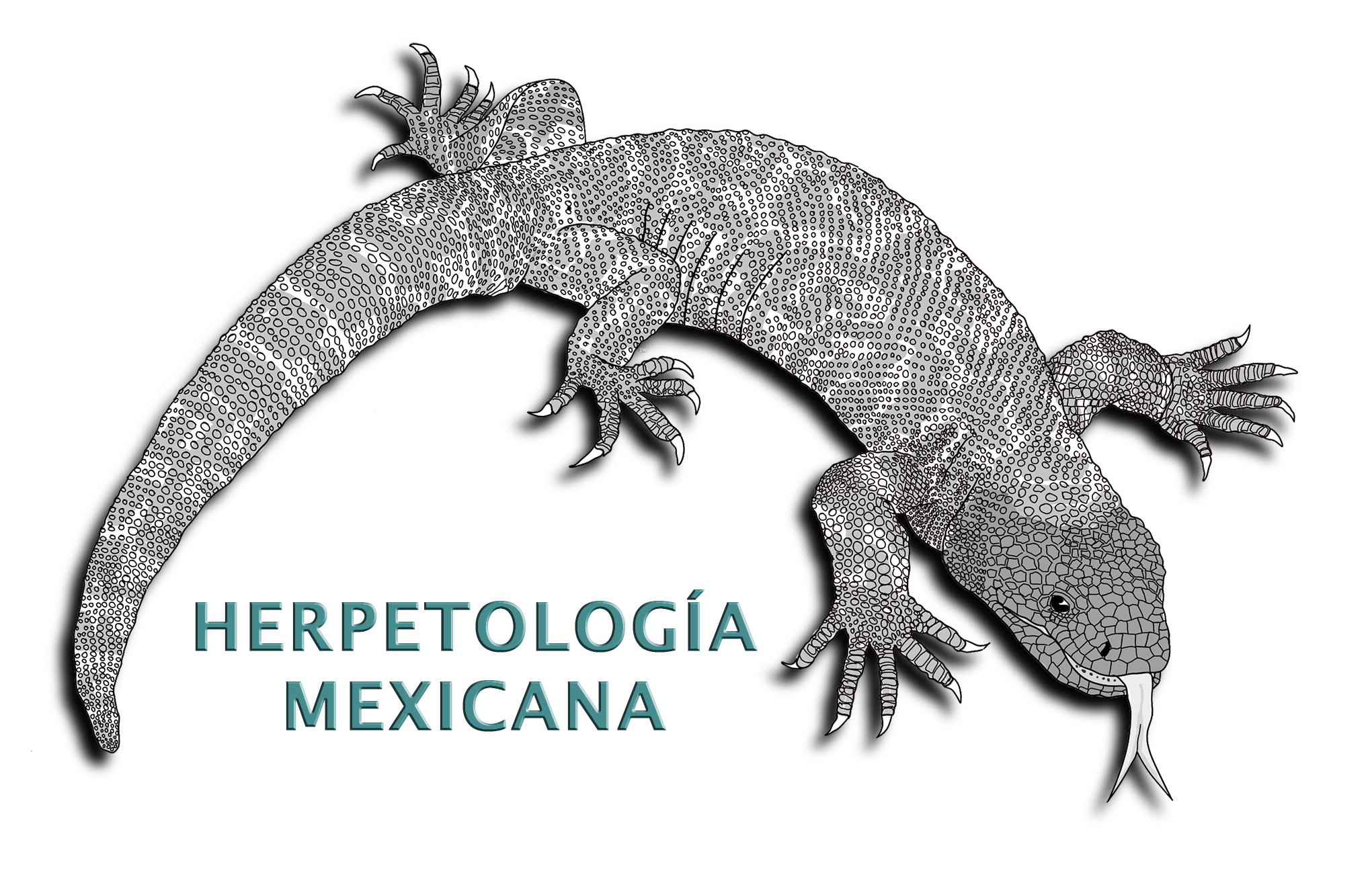 Logo Herpetología Mexicana