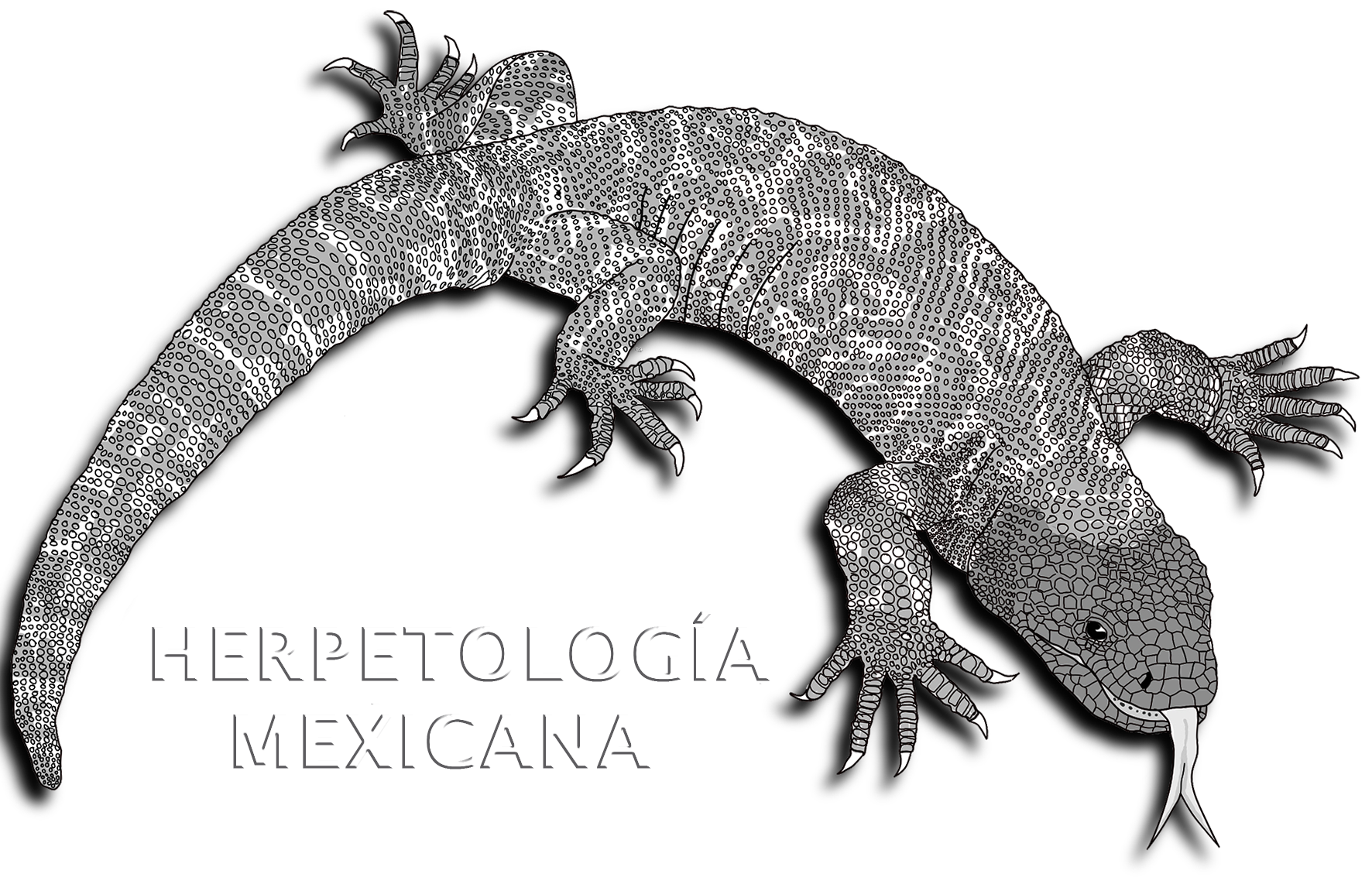 HERPETOLOGÍA MEXICANA logo